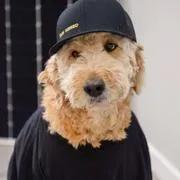 Rosie, Chief Emotional Officer at Sun Kissed Energy