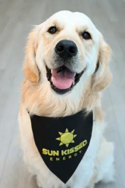 Rue, Chief Barketing Officer at Sun Kissed Energy