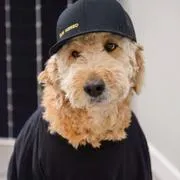 Rosie, Chief Emotional Officer at Sun Kissed Energy