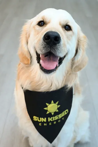 Rue, Chief Barketing Officer at Sun Kissed Energy